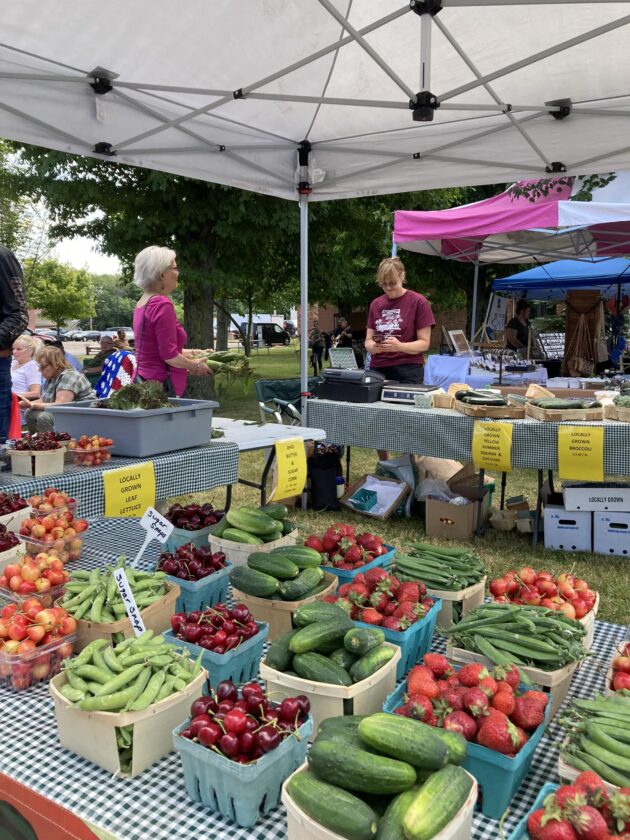 Mayville Farmers’ & Artisans Market Opens Thursday News, Sports, Jobs Post Journal